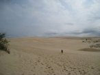Jockey's Ridge - Alonna
